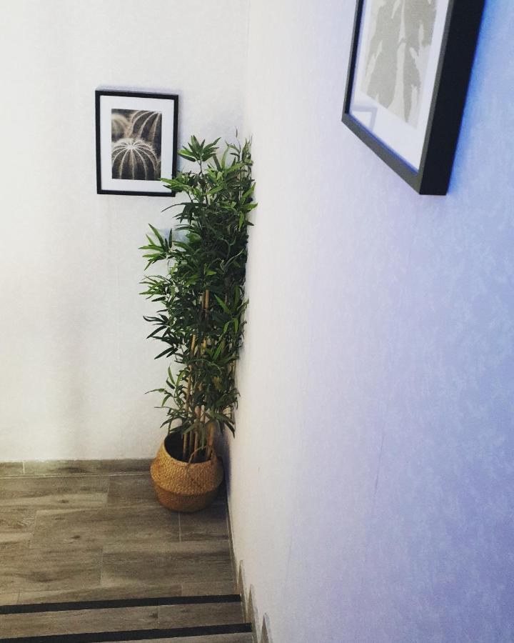 Alojamiento Weier La Cistérniga Buitenkant foto